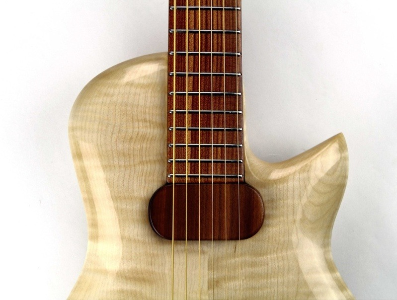 Gitarrenbau aus nachhaltiger Forstwirtschaft - Guitar Making from Sustainable Forestry - Swiss Wood Solutions